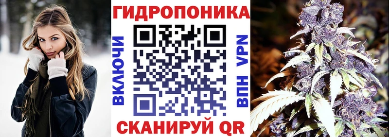 где найти   Старый Оскол  Конопля OG Kush 
